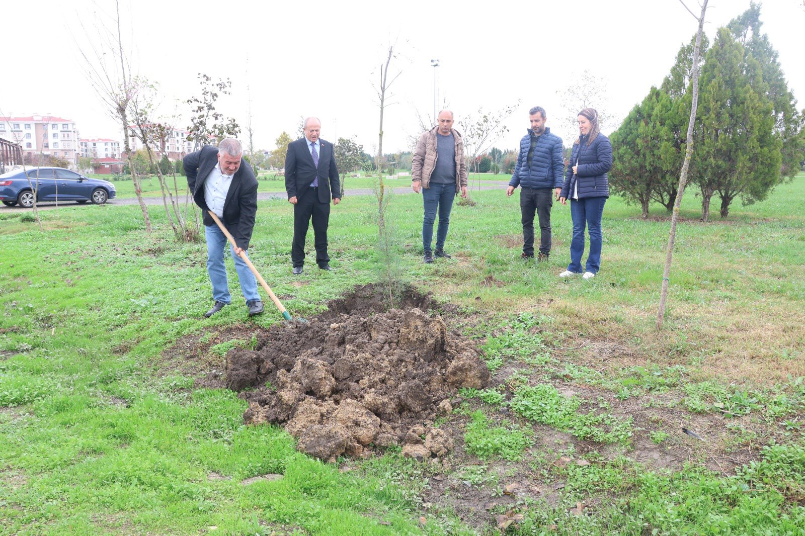 11 Kasım Milli Ağaçlandırma Günü - Görsel 2