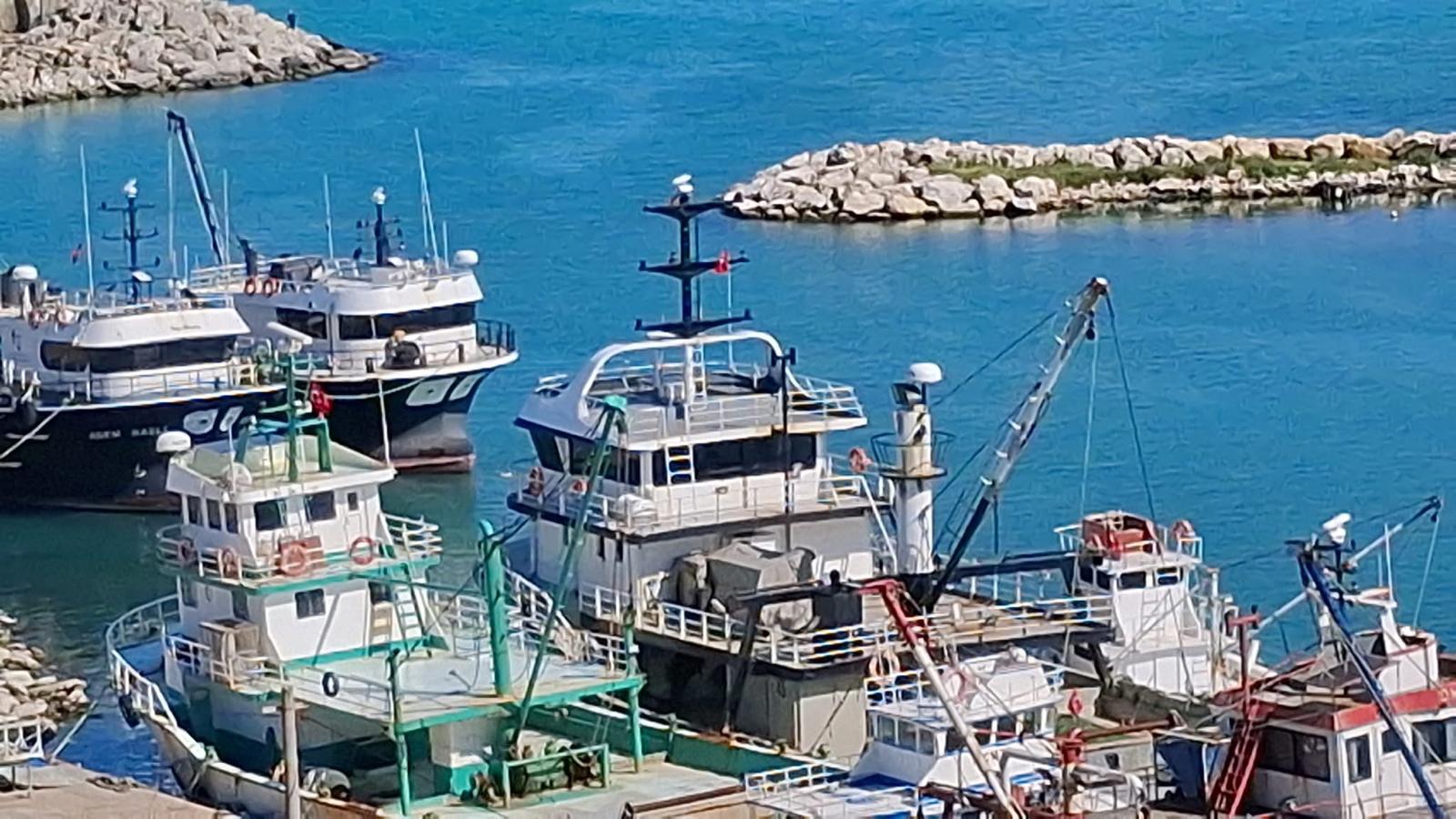 Eko yürüyüş Topolovgrad ve Büyükkarıştaran çocuklarını sevindirdi  /  Еко разходка зарадва децата на Тополовград и Буюккаръщъран - Görsel 15